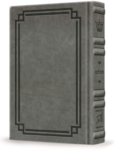Picture of Signature Leather Collection Full-Size HEBREW/ENGLISH Tehillim Glacier Grey