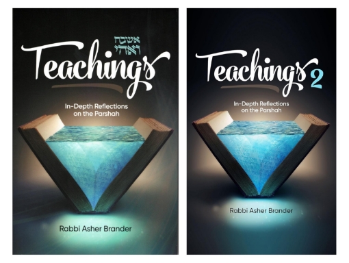 Picture of Teachings SET: In-Depth Reflections on the Parshah (by Rabbi Asher Brander)
